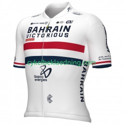 Team Bahrain Victorious 2024 Mænd Cykeltrøje Kortærmet N001
