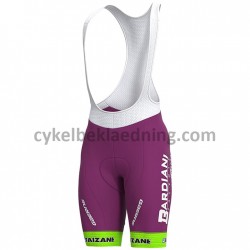 BIB Cykelbukser Korte 2020 Bardiani-CSF M001