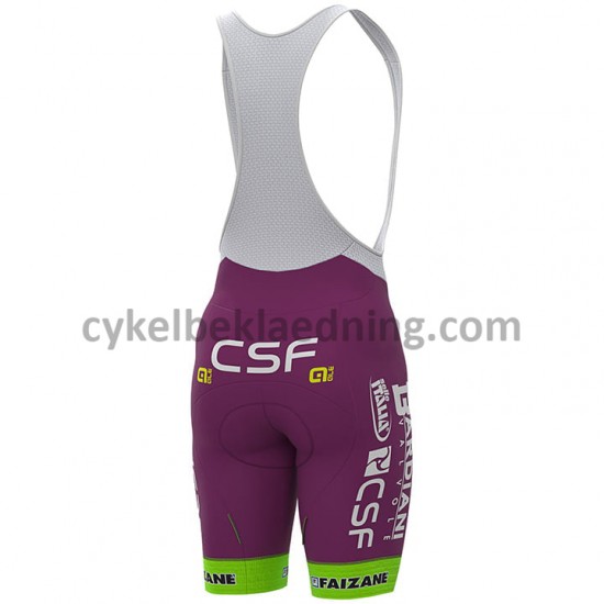 BIB Cykelbukser Korte 2020 Bardiani-CSF M001